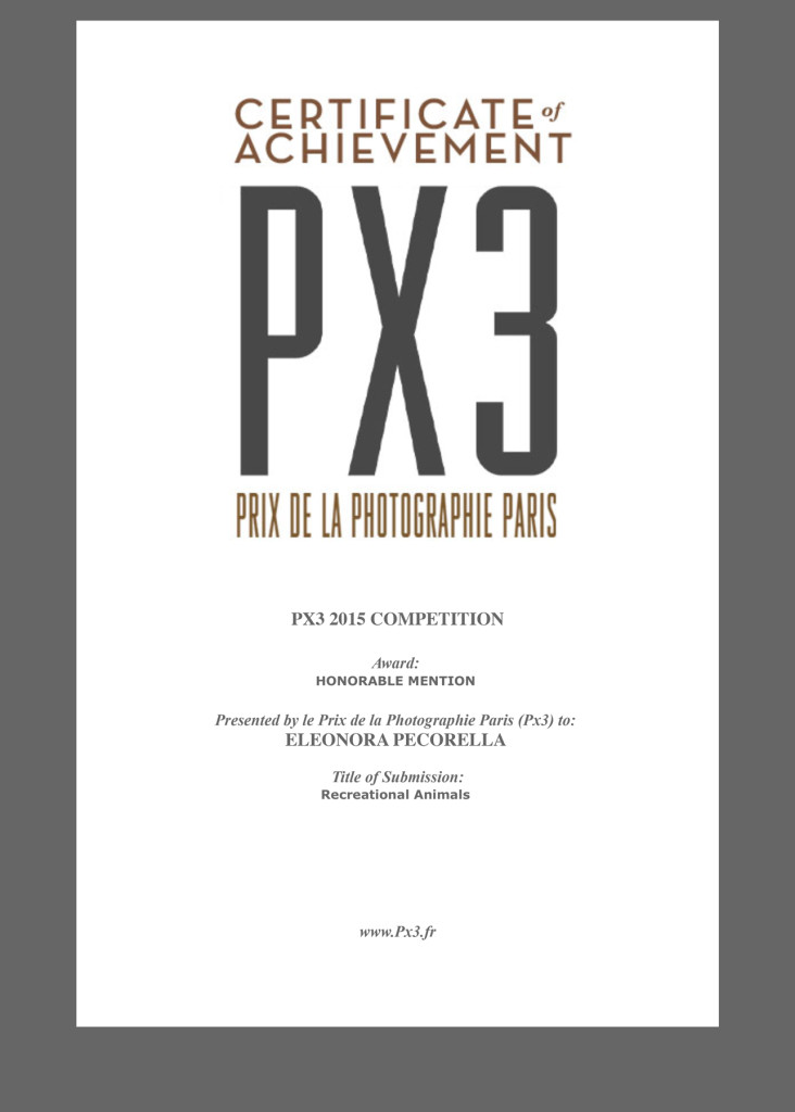 PX3-2015-CERTIFICATE-1